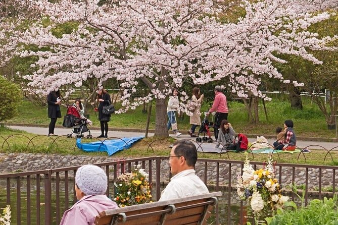 Private Unique Kobe Cherry Blossom Sakura Experience