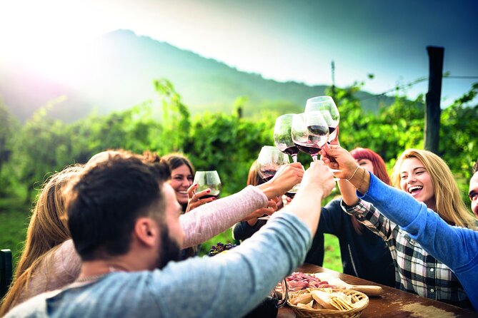 Private Valpolicella Day Trip From Venice: Wine Tasting and Verona - Overview of the Tour
