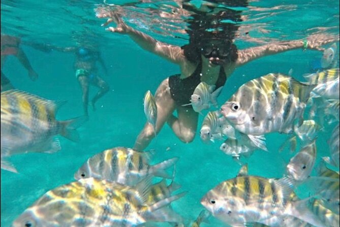 Private VIP Catamaran Party Boat Punta Cana Bavaro - Highlights of the Experience