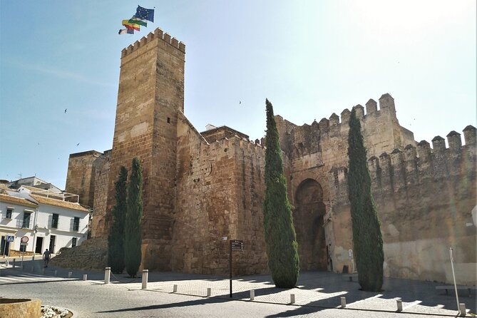 Private Visit to Carmona and Its Main Monuments