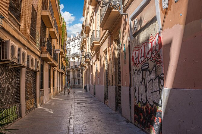 Private Walking Tour in Valencia With Guide