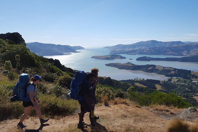 Private Walking Tour - Packhorse Hut From Christchurch - Meeting and Pickup