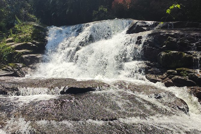 Private Waterfalls and Still Jeep 4x4 6hrs by Jango Paraty - Tour Overview