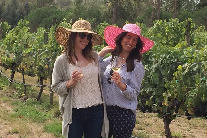 Private Wine Gourmet and Scenic Delights Tour From Picton - Wine and Food Experiences