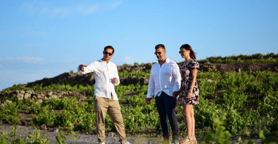 Private Wine Tasting and Food Pairing With Caldera Views