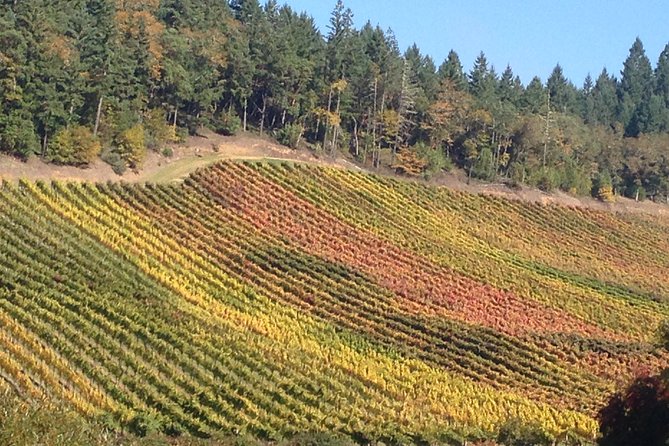 Private Wine Tour With Tastings From Eugene - Tour Details