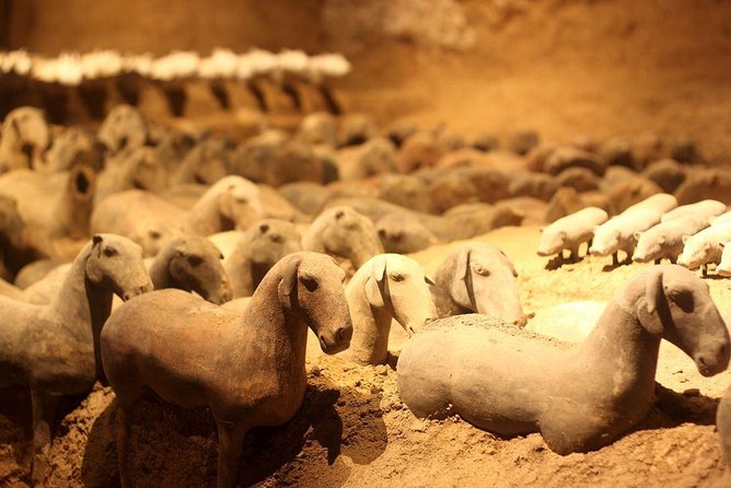 Private Xian Tour: Terracotta Warriors, Hanyangling Museum, Cave Homes - Key Attractions