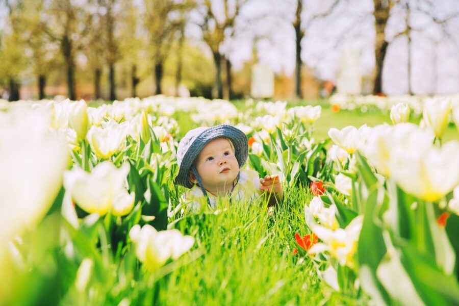 Professional Outdoor Baby Photoshoot in Amsterdam