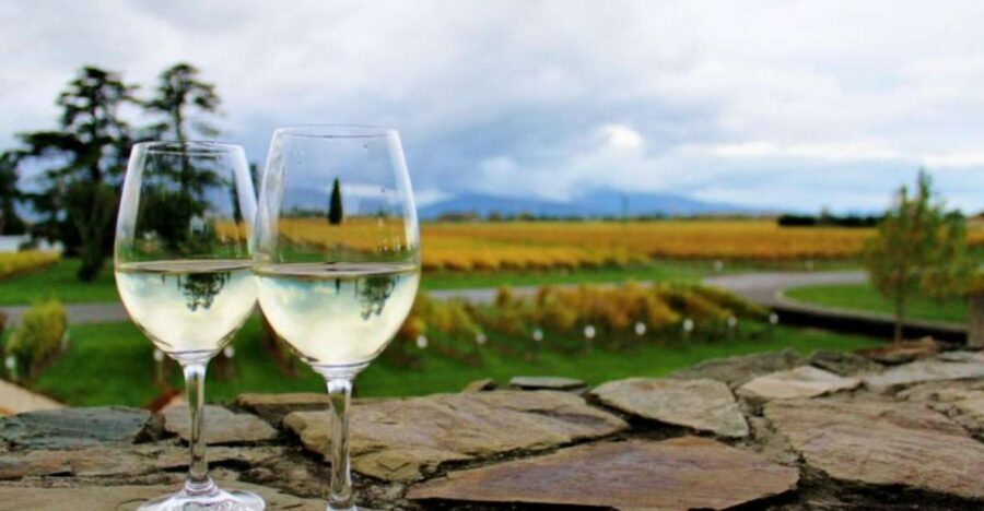 Progressive Wine & Gourmet Trail From Blenheim or Picton - Overview and Pricing