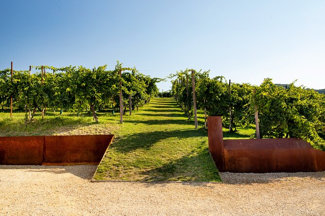 Prosecco Tasting, Appetizers and Tour of the Cellar and Vineyards