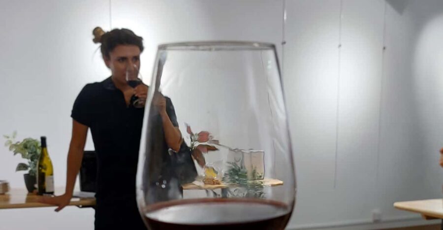 PROVENÇAL WINE TOUR