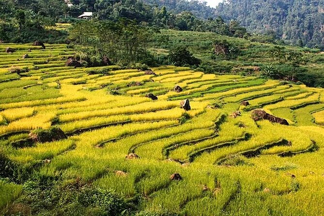 23 Best Tours In Central Vietnam