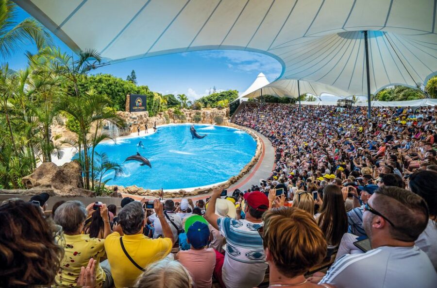Puerto De La Cruz: Loro Parque Entry Ticket