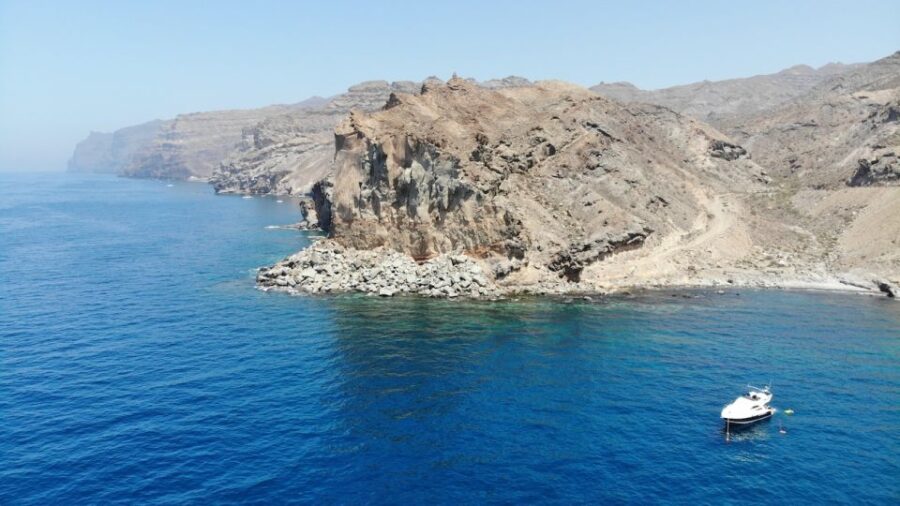 Puerto De Mogan: Dolphin Boat Trip