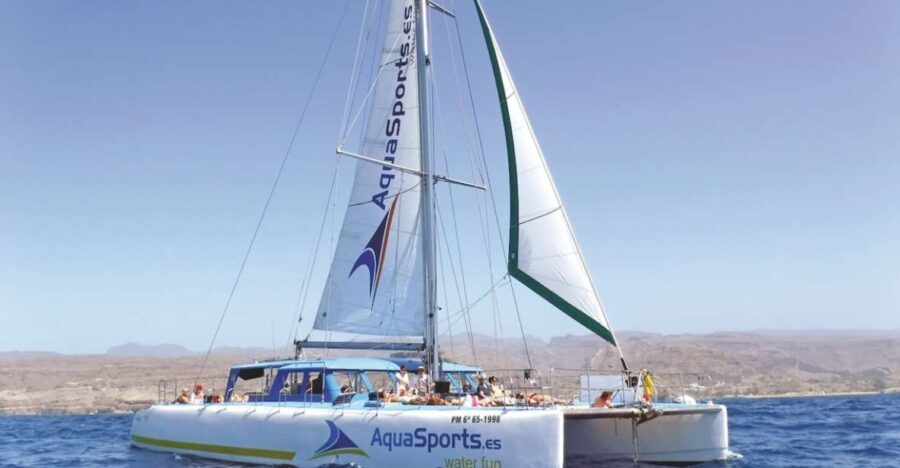 Puerto Rico: 4-Hour Catamaran Excursion in the South