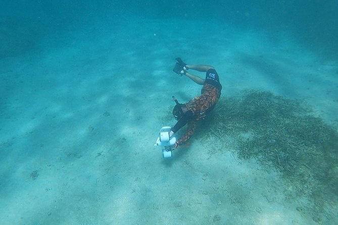 Puerto Rico Jet Snorkel With Turtles and Videos in San Juan