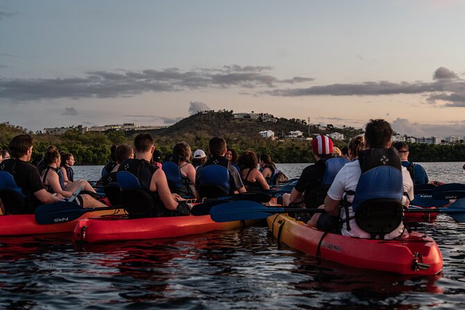 Puerto Rico Sunset Magic: Bio Bay Kayaking Tour From Fajardo