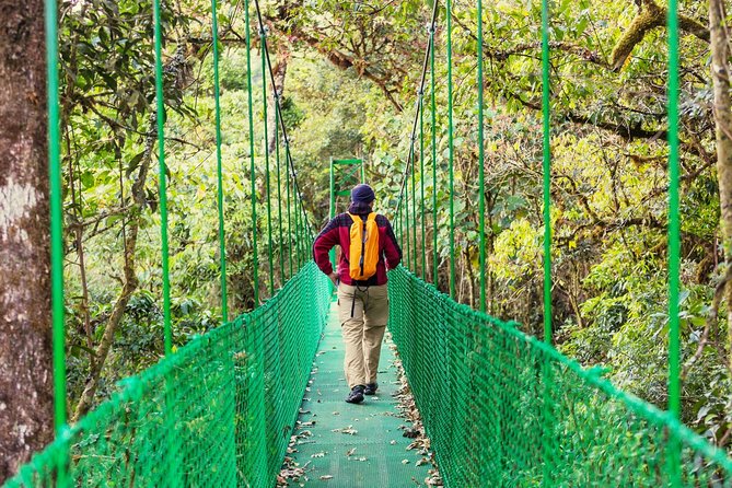 Puntarenas Shore Excursion: Rainforest Skywalk & Tarcoles River Eco Cruise