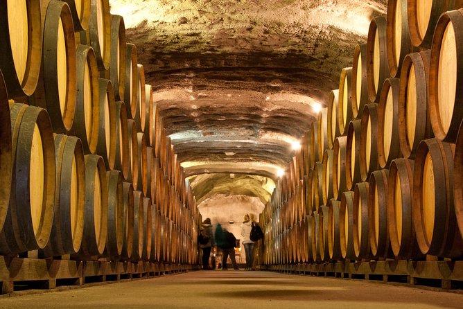 Queenstown Classic Wine Tour: 3 Vineyards, Caves and Cheeseboard