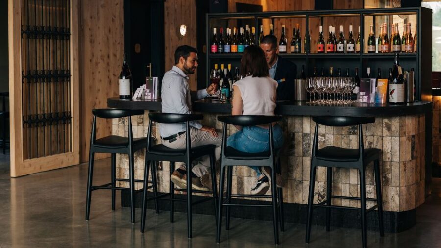 Queenstown: Premium Central Otago Wine Tasting Experience