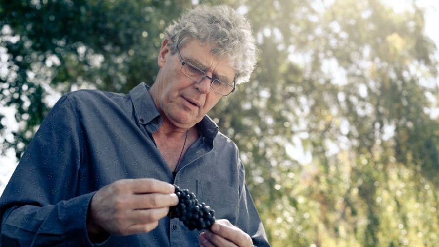 Queenstown: Valli Wine Tasting Experience