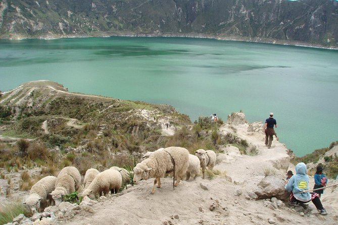 Quilotoa and Volcanoes Avenue Day Trip From Quito With Entrances - Overview of the Trip