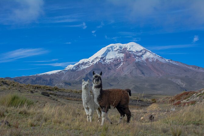 Quito to Cuenca 4 or 5-Day Tour With Cotopaxi, Quilotoa, Baños and Chimborazo - Tour Overview and Highlights