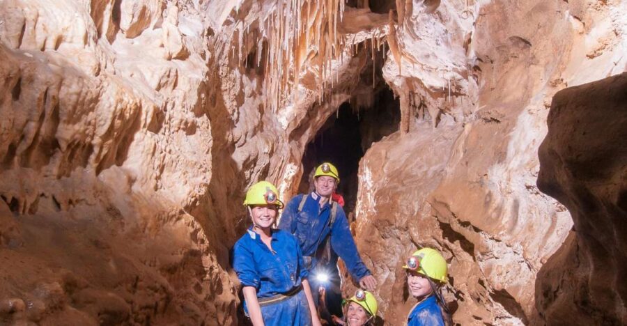 Raglan: Guided Cave Adventure With Glow Worms
