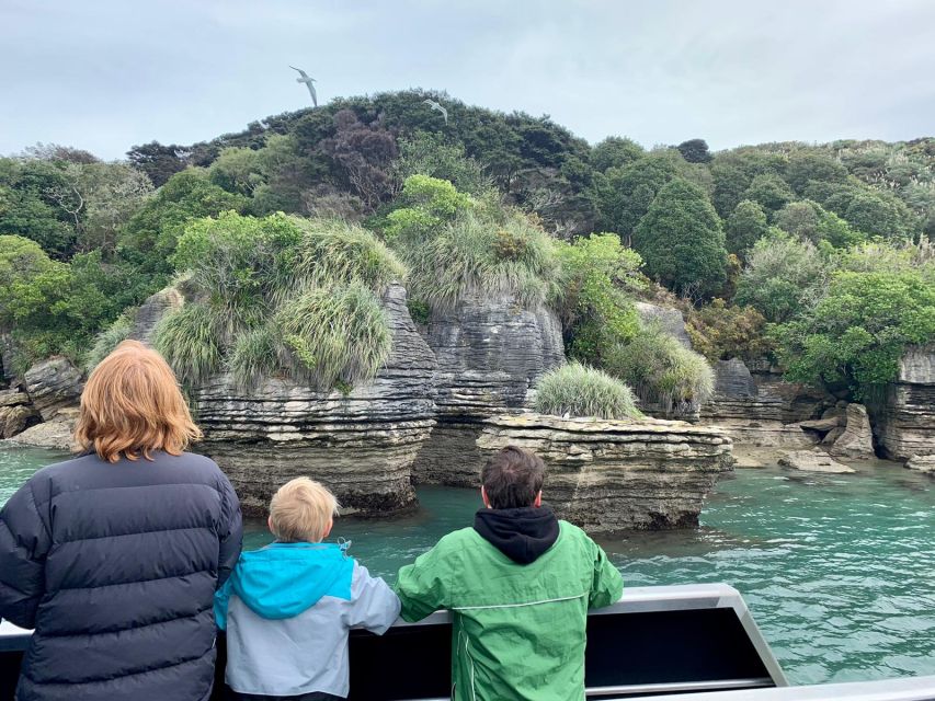 2 Best Cruises And Boat Tours In Raglan