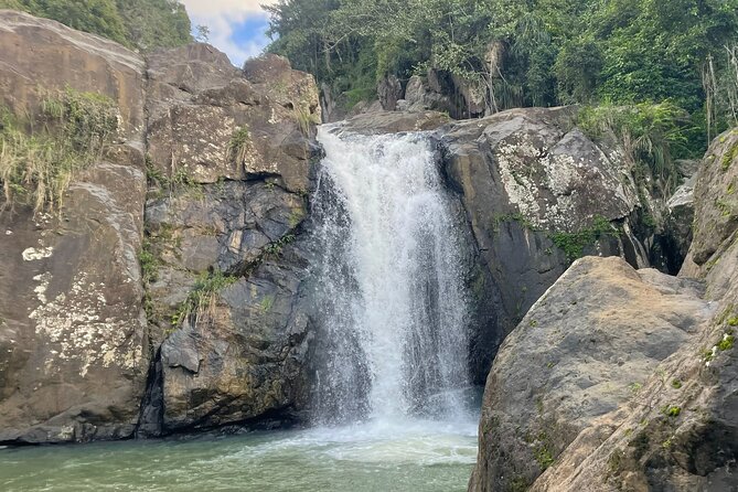 Rainforest Adventure: Best Hidden Waterfall Tour