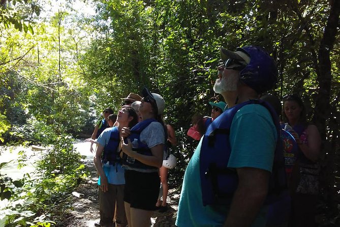 Rainforest Trek to Natural Pool - Taino Bay & Amber Cove Ports - Tour Activities