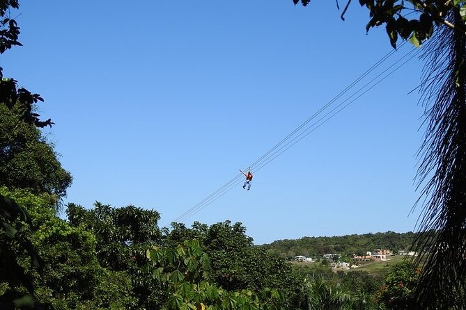 Rainforest Zipline in Foothills of the National Rainforest