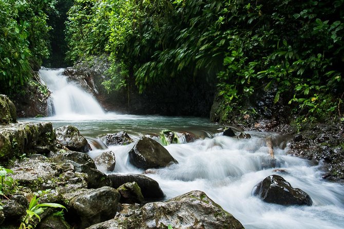 Rainmaker Park Hanging Bridges & Waterfalls Tour With Jade Tours