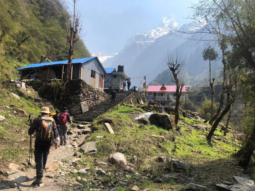 Rapid Annapurna Base Camp Trek - 9 Days - Trek Overview