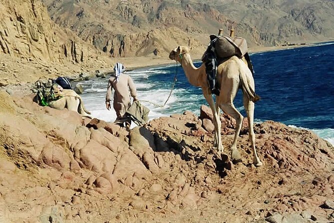 Ras Abu Gallum & Blue Hole Snorkel Safari by Jeep and Camel