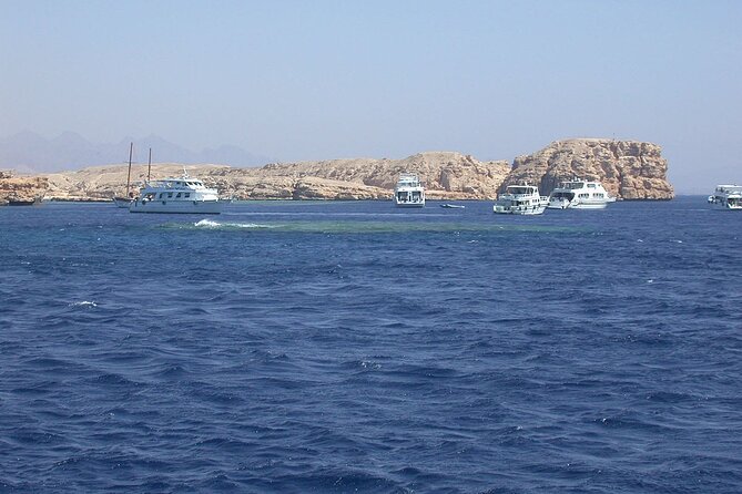 24 Best Lunch Experiences in Sharm El Sheikh