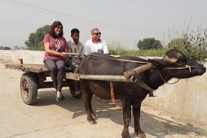 Real Village Tour Amritsar