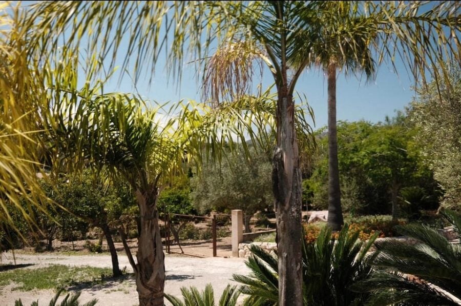 Recharge & Reconnect: A Beautiful Day Retreat in Mallorca