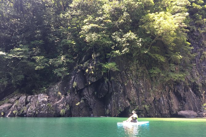 [Recommended on Arrival Date or Before Leaving!] Relaxing Water Walk on the Awakawa River With Stand up Paddleboard (Sup) [Half-Day Tour]