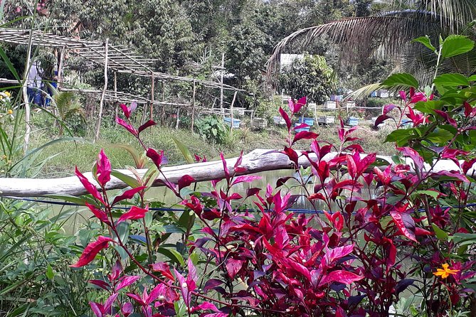 RED RIVER TOUR (Private Tour): LAND ISLAND TOUR AROUND THE SOUTH