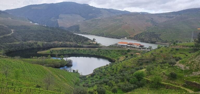 Reduced Mobility Visit the Douro Valley From Porto