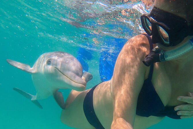 Reef, Beach and Sandbar Tour From Providenciales