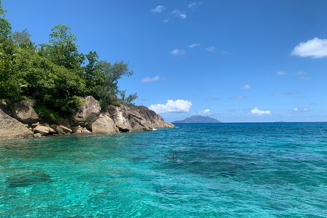 Reef Safari – Snorkeling, Fish Feeding & Lunch (Shared Day Trip)