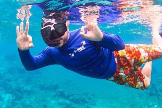 Reef Snorkeling Tour - Itinerary Highlights