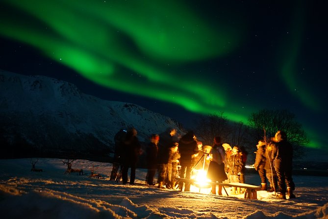 Reindeer Feeding & Saami Culture With Chance for Northern Lights