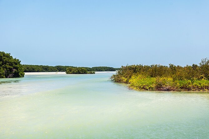 2 Best Fishing Tours In Isla Holbox
