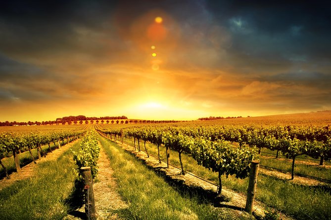 Relaxing Three Courses Lunch & Wine Tour Through Niagaras Wine Country - Sample Lunch Menu