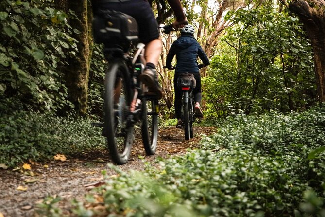 Remutaka Rail Trail Ebike Explorer Cycle Tour