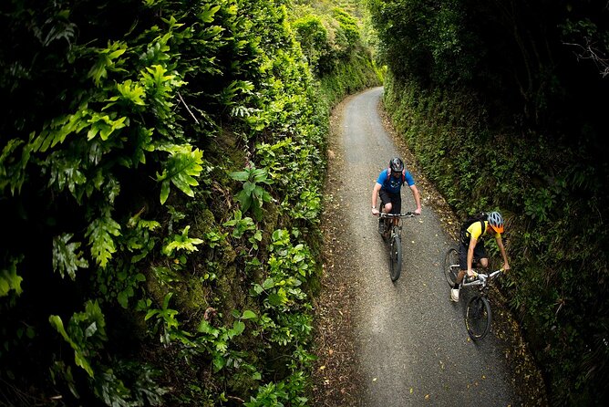 Remutaka Rail Trail Ebike Explorer Cycle Tour - Inclusions and Accommodations