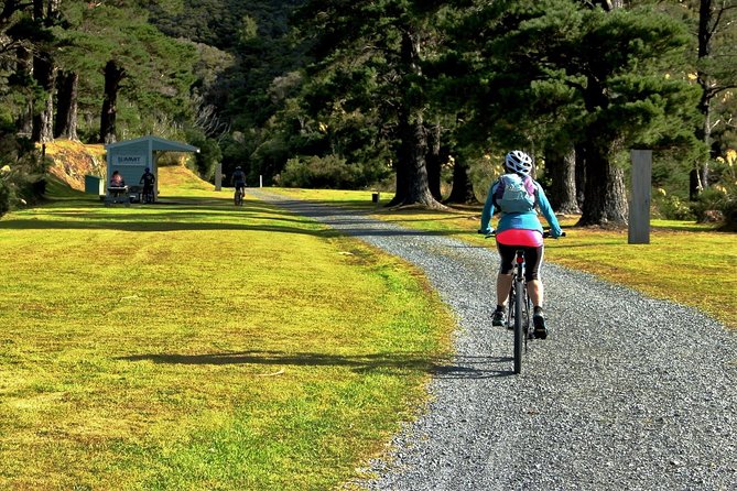 Remutaka Rail Trail Explorer - Ebike Cruise Ship Shore Excursion